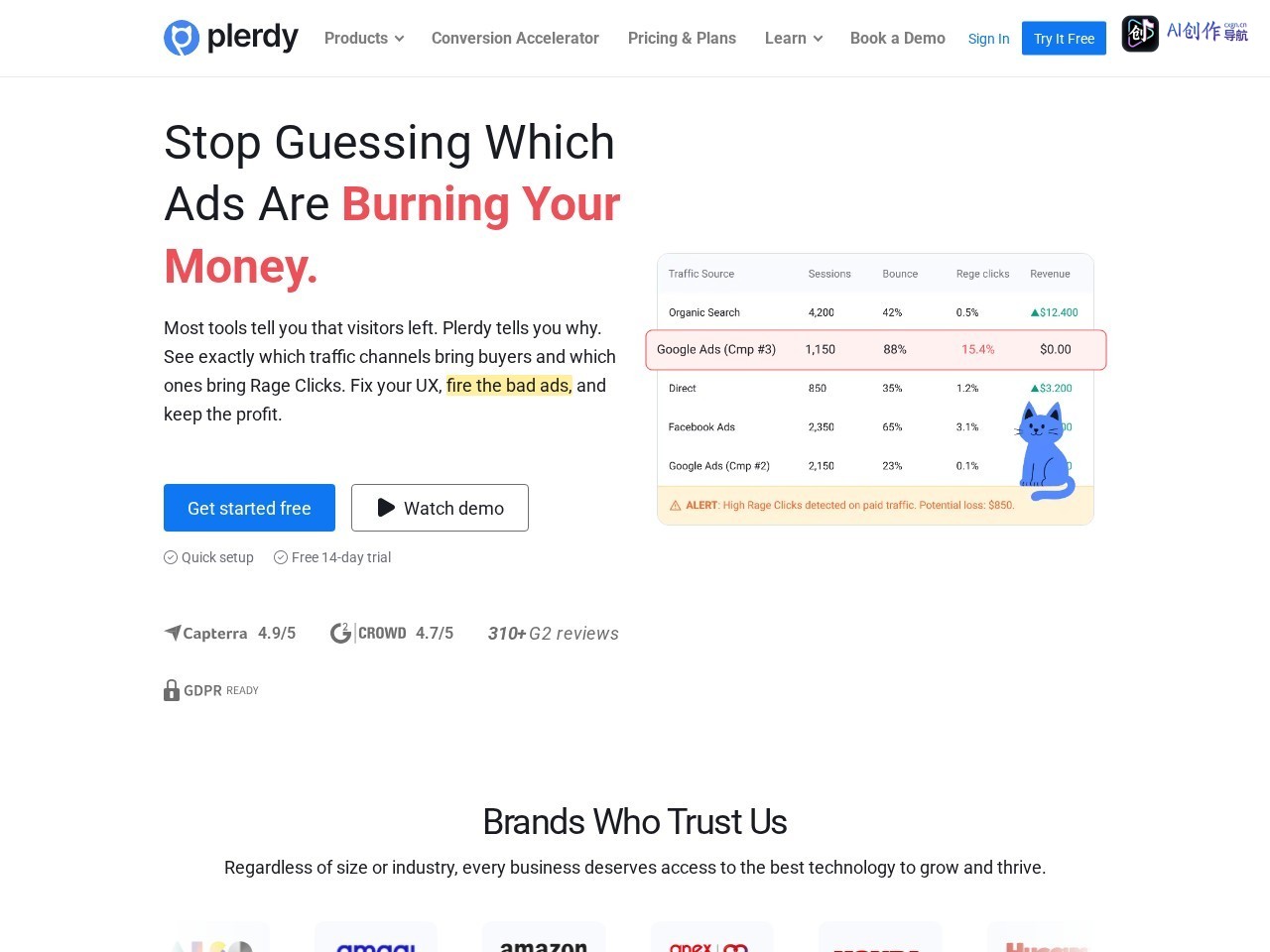 Plerdy 网站截图