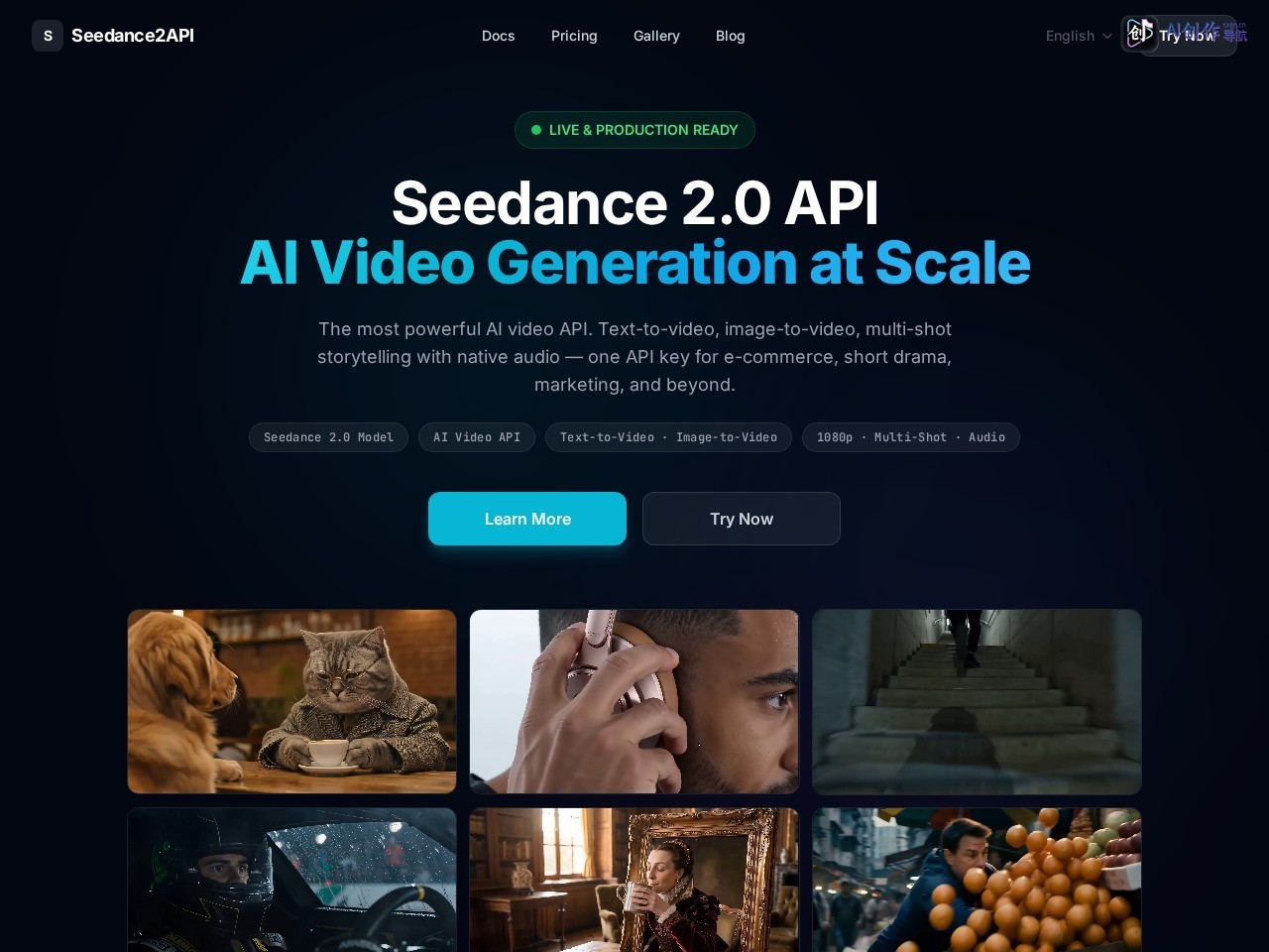 Seedance 2.0 API 网站截图