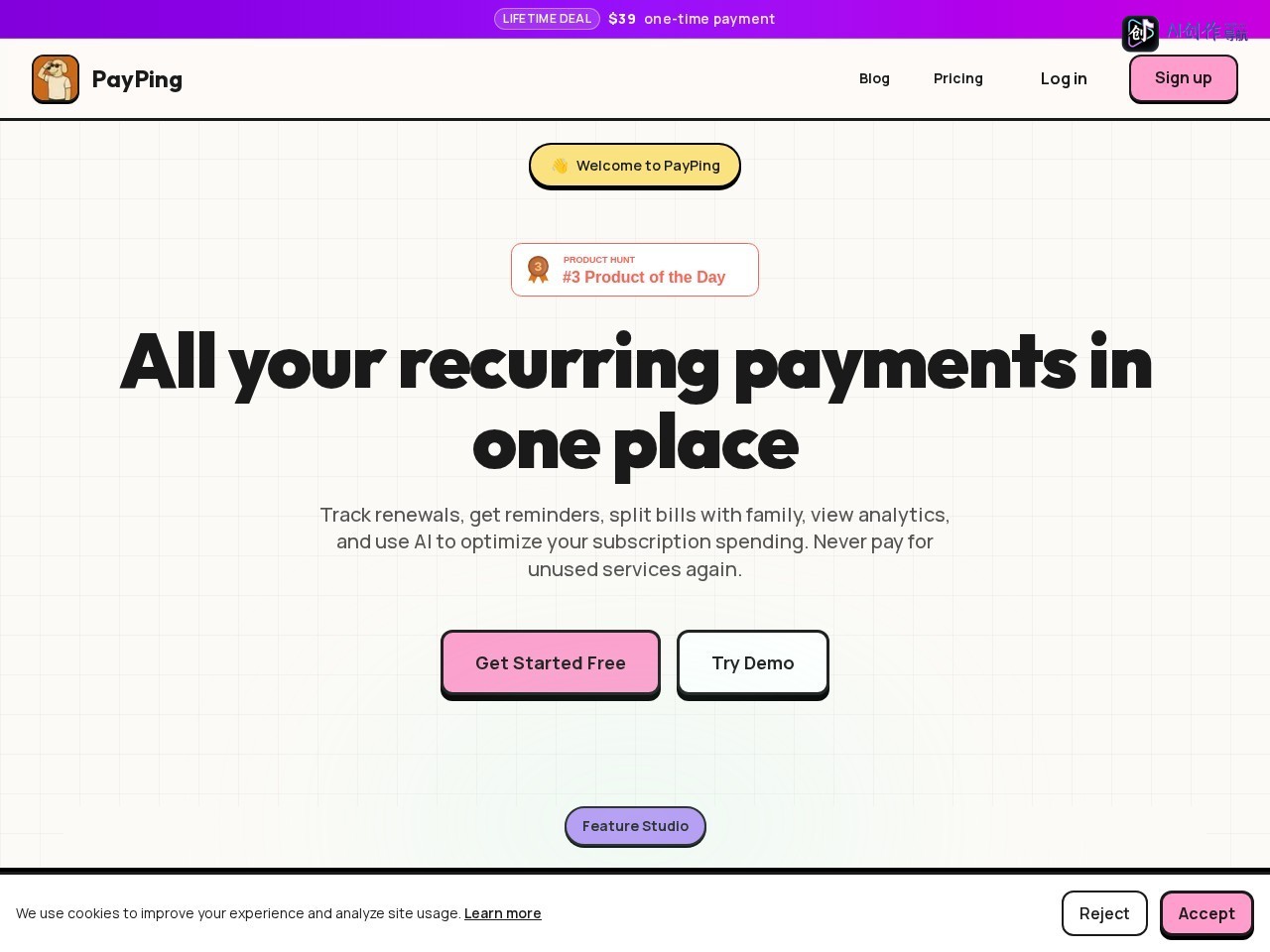 PayPing 网站截图