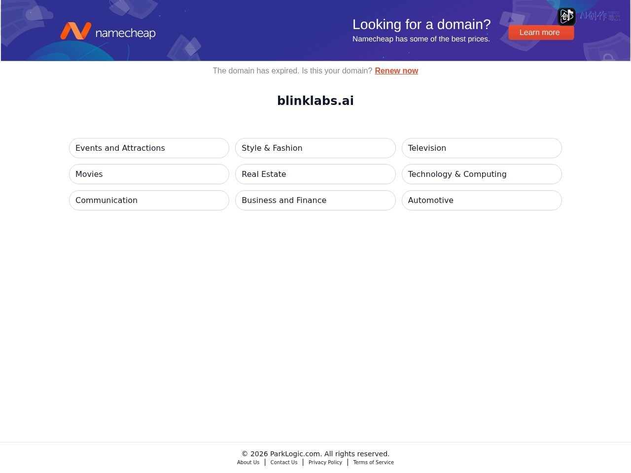 Blink AI 网站截图