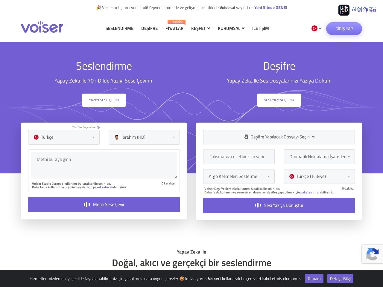 Voiser 网站截图