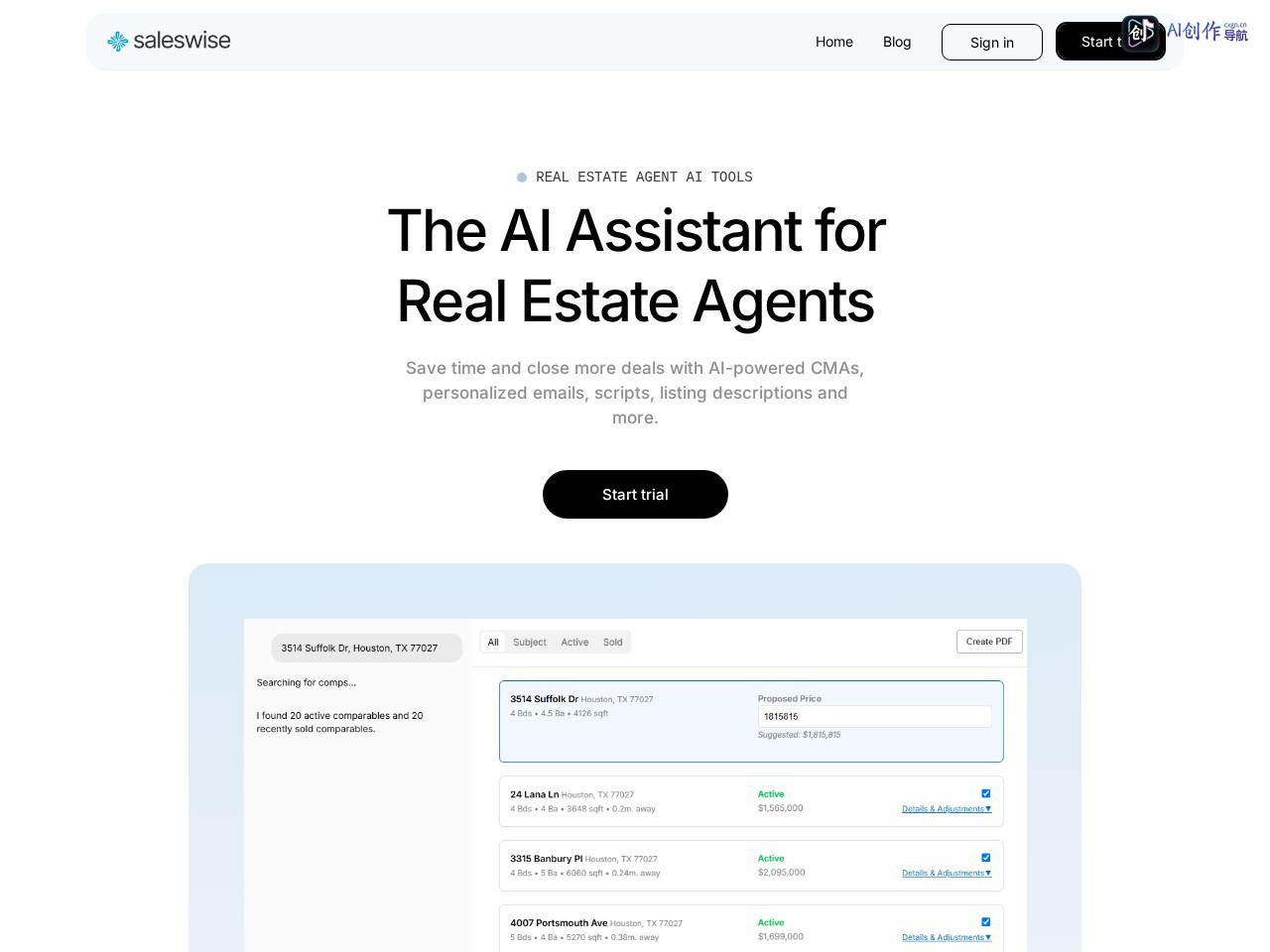 Saleswise 网站截图