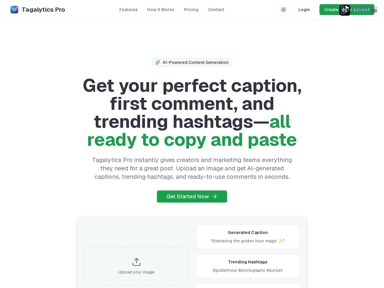 Tagalytics Pro 网站截图