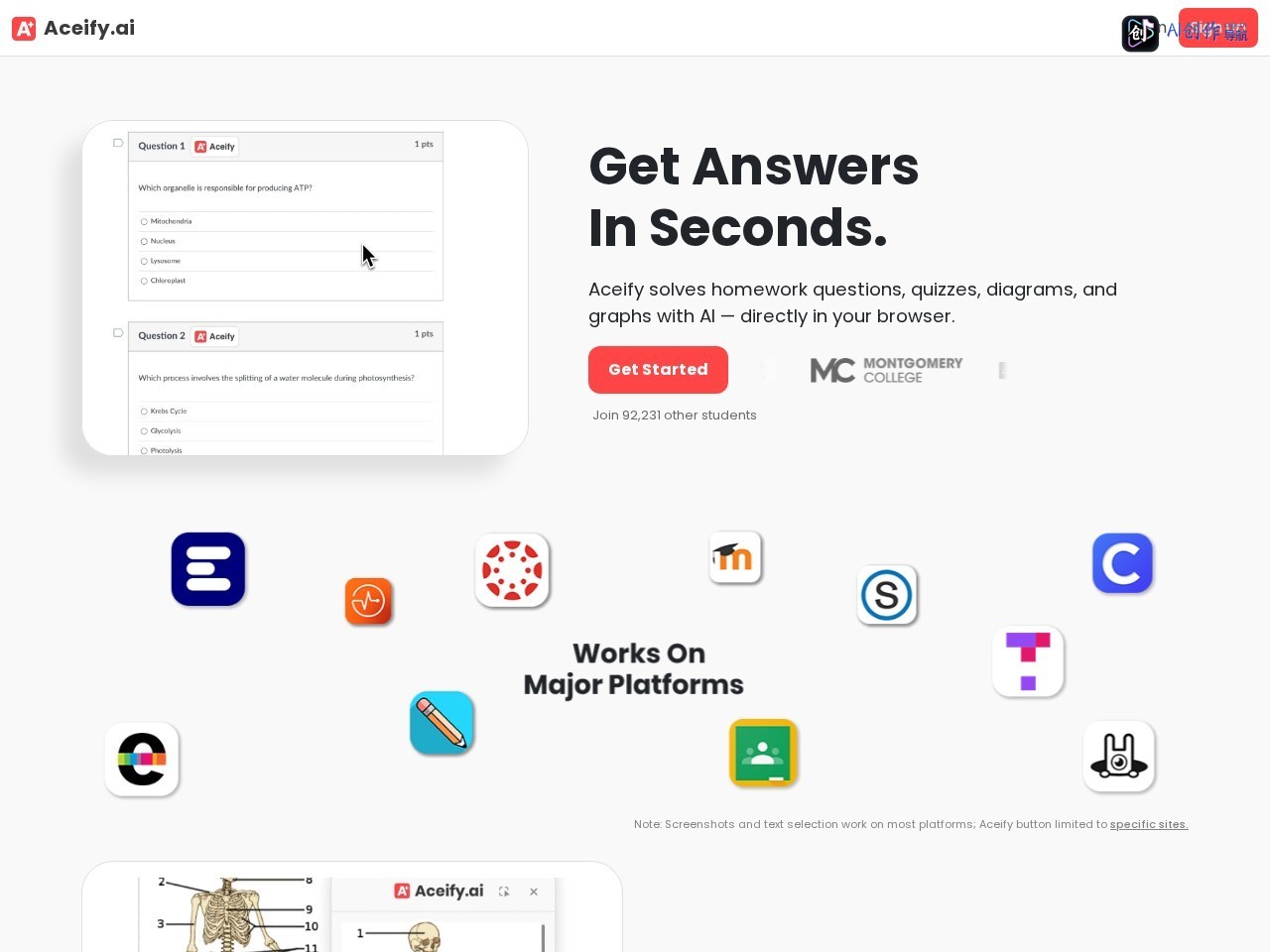 Aceify.ai 网站截图