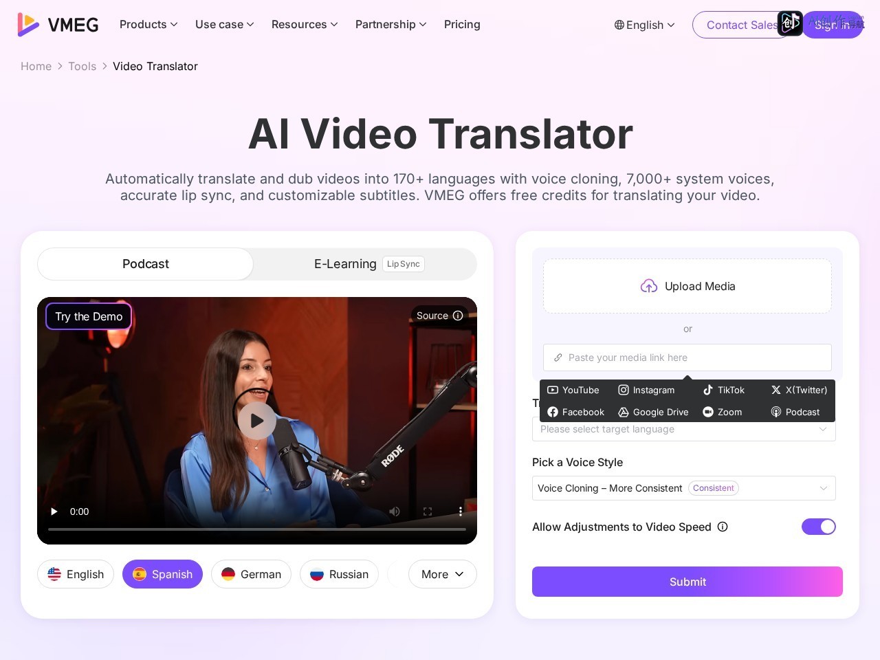 VMEG AI Video Translator 网站截图