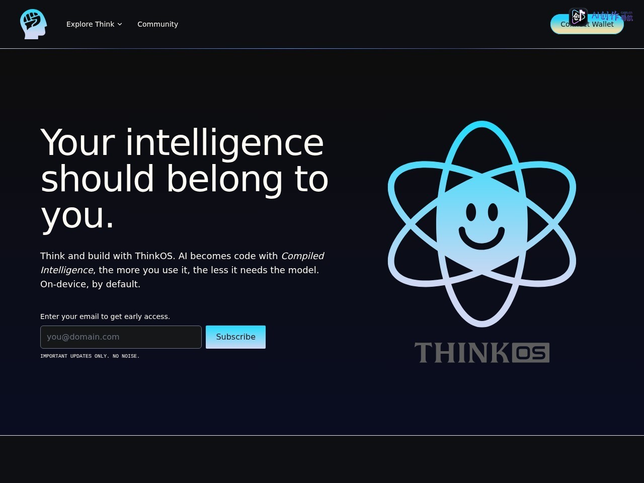 THINK 网站截图