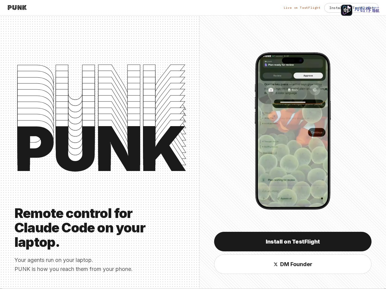 PUNK 网站截图