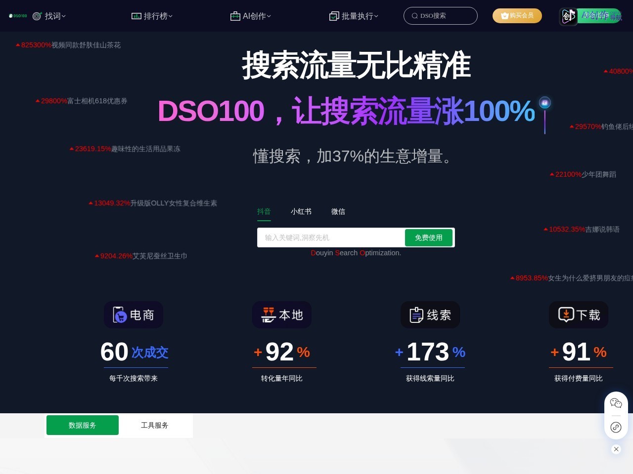 DSO100 网站截图