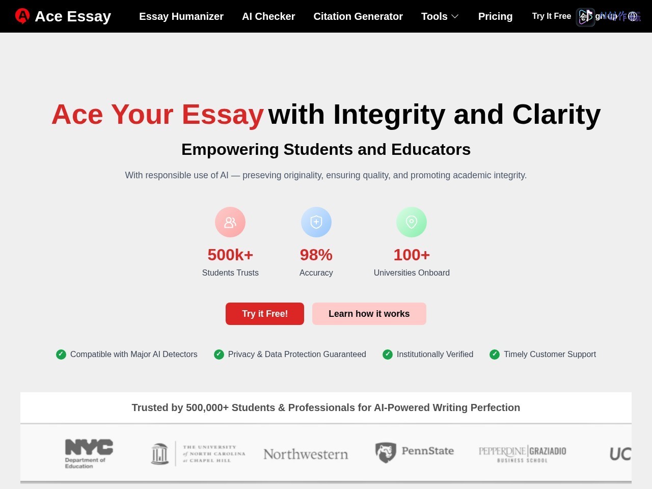 Ace Essay 网站截图