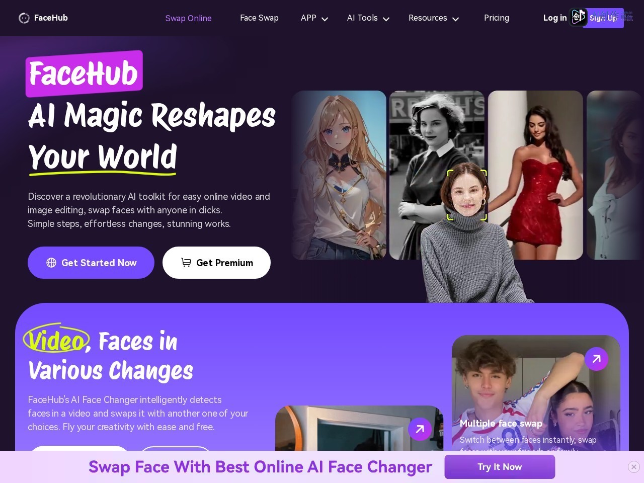 FaceHub 网站截图