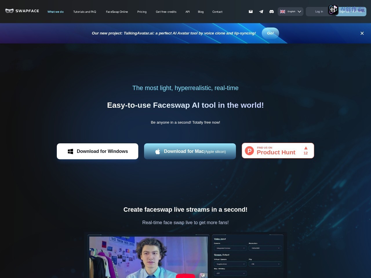 Swapface 网站截图