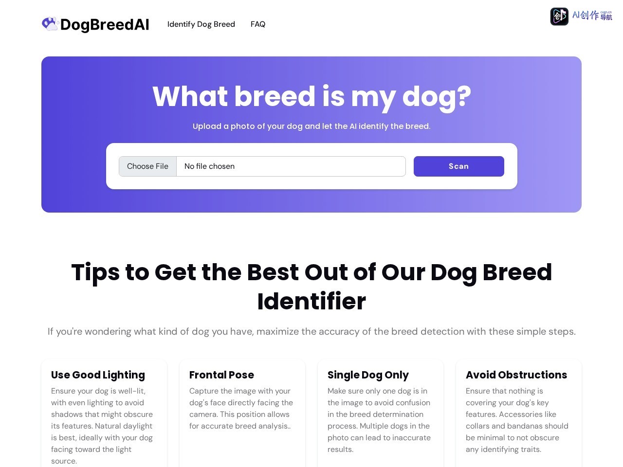 Dog Breed Identifier 网站截图