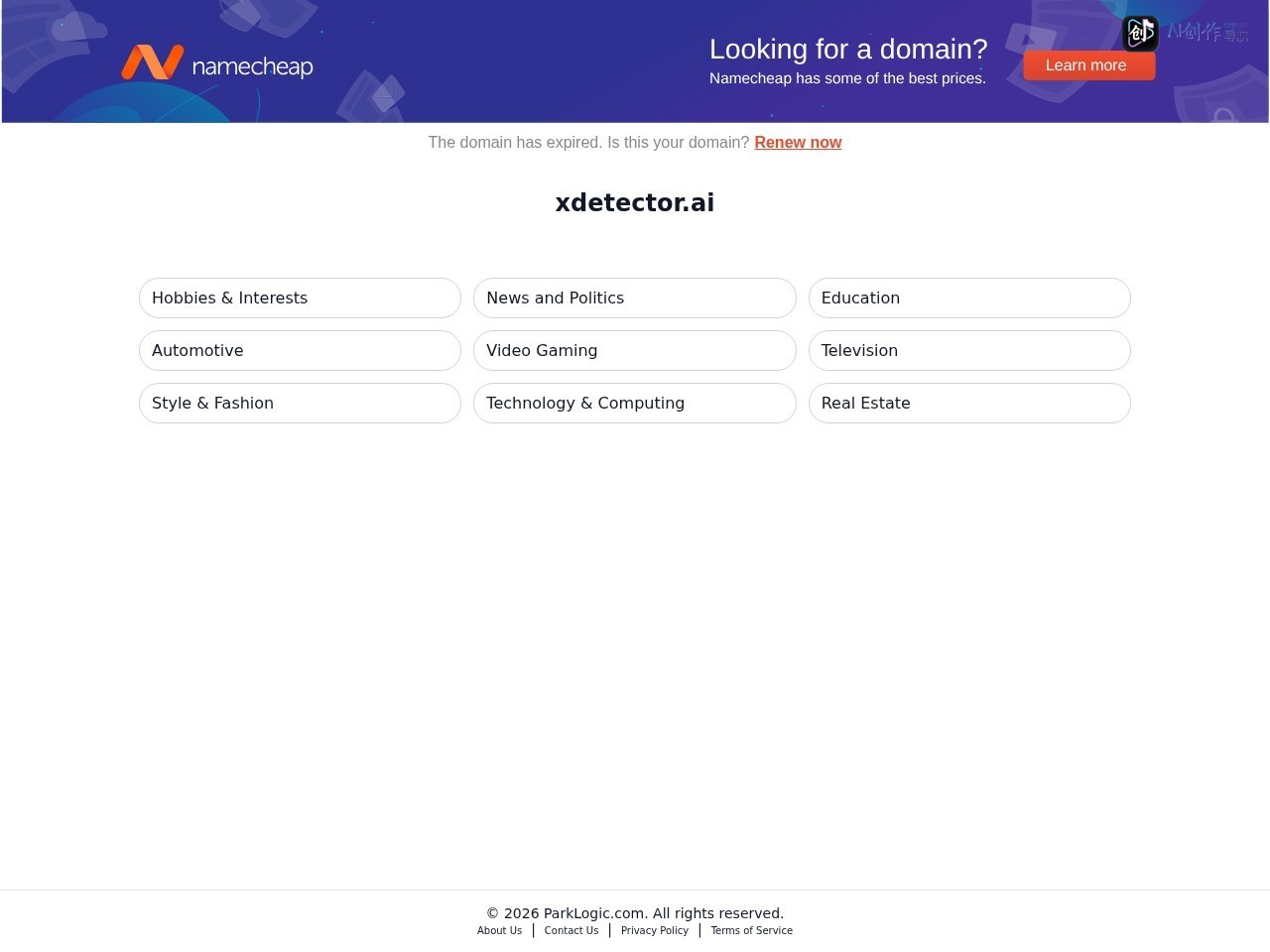 X Detector 网站截图