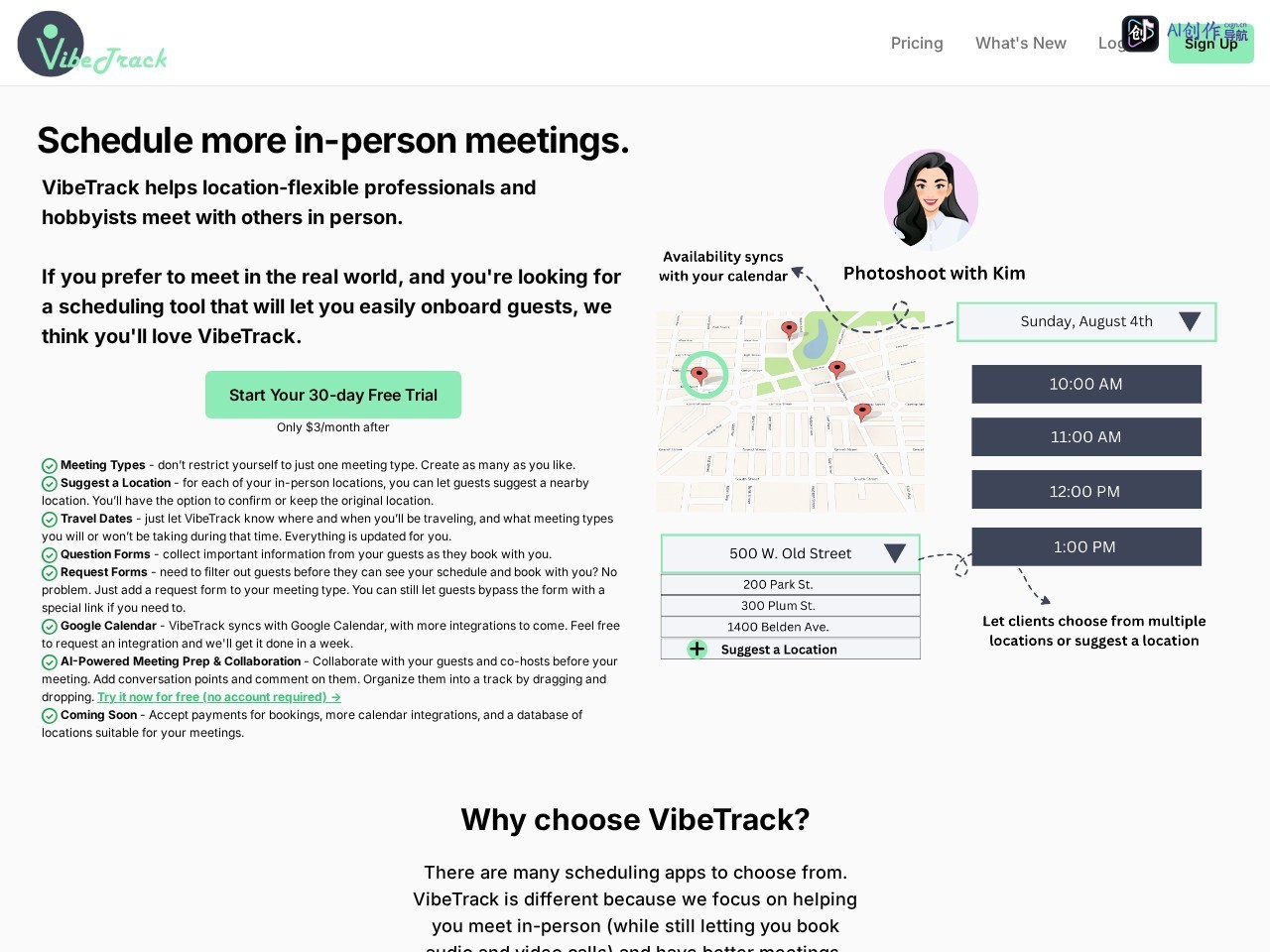 VibeTrack 网站截图
