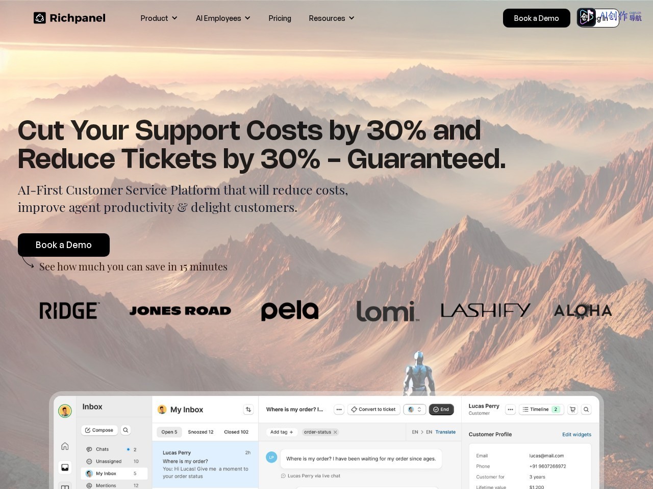 Richpanel 网站截图