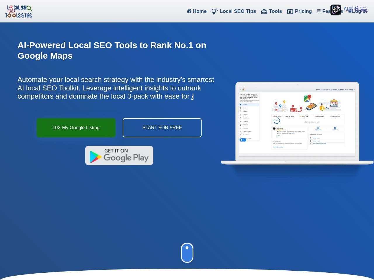 Local SEO Tools and Tips 网站截图