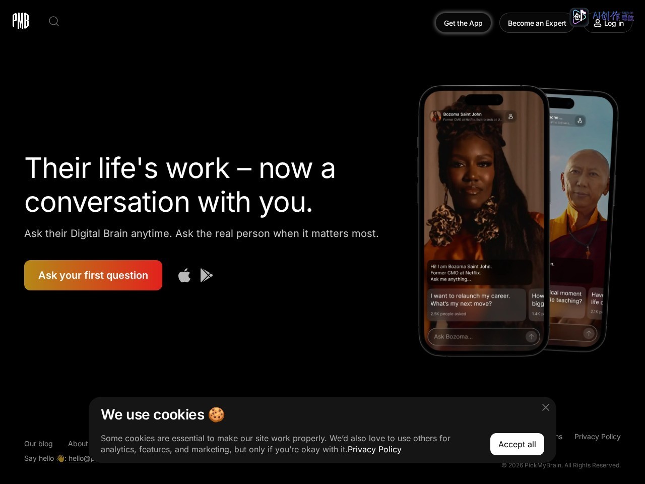 PickMyBrain 网站截图