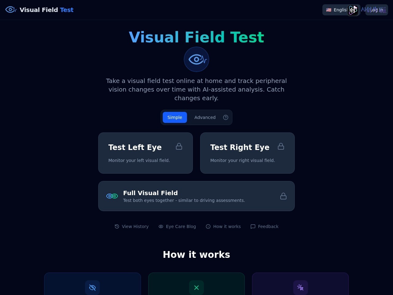 Visual Field Test 网站截图