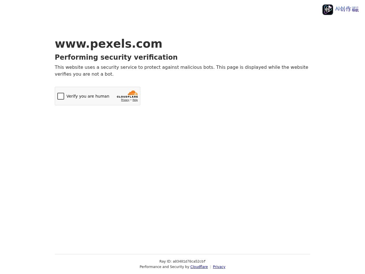 Pexels 网站截图