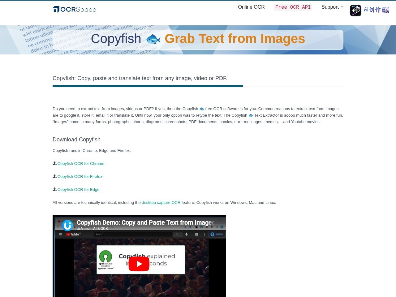 Copyfish 网站截图