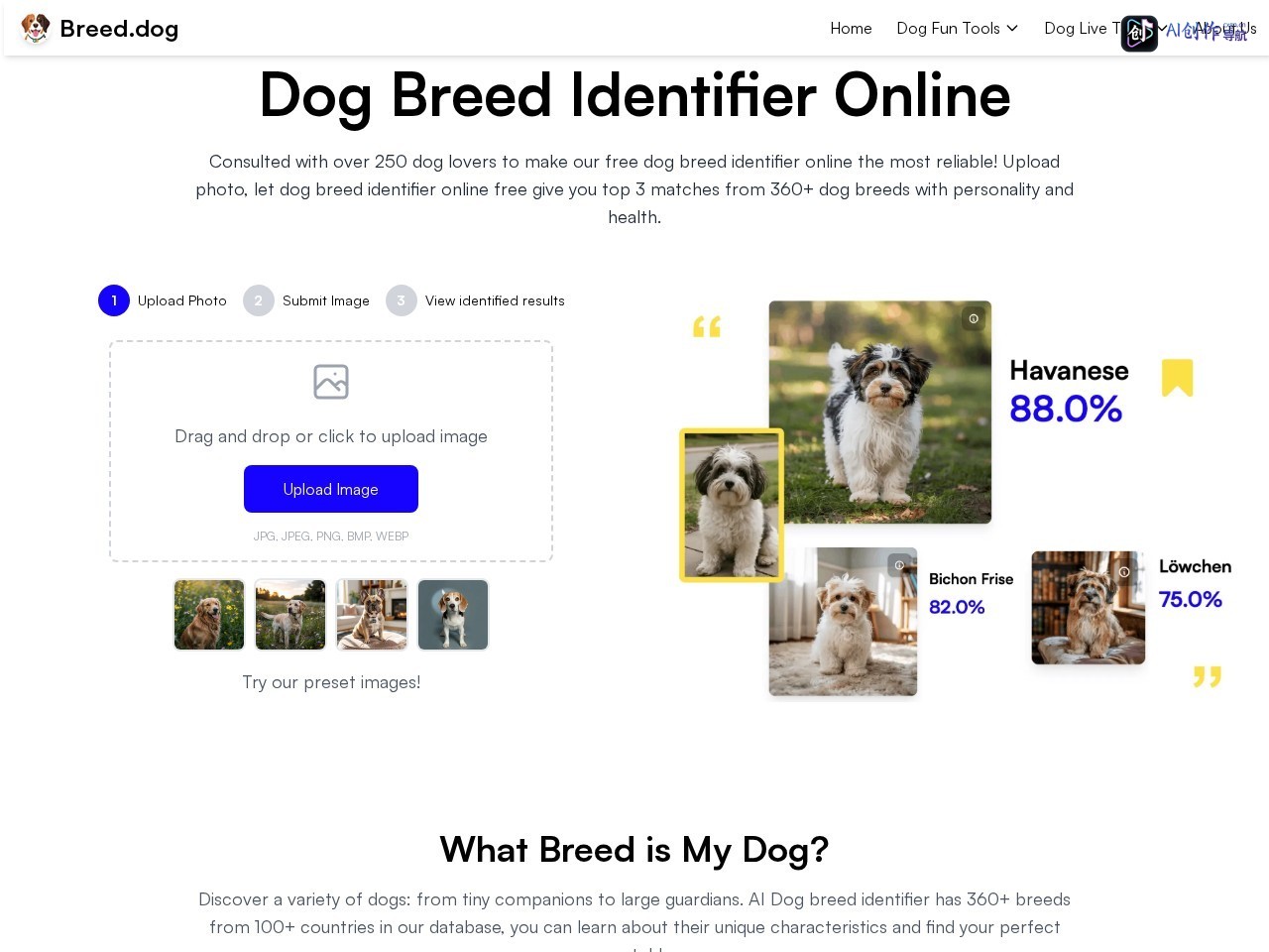 Breed.dog 网站截图