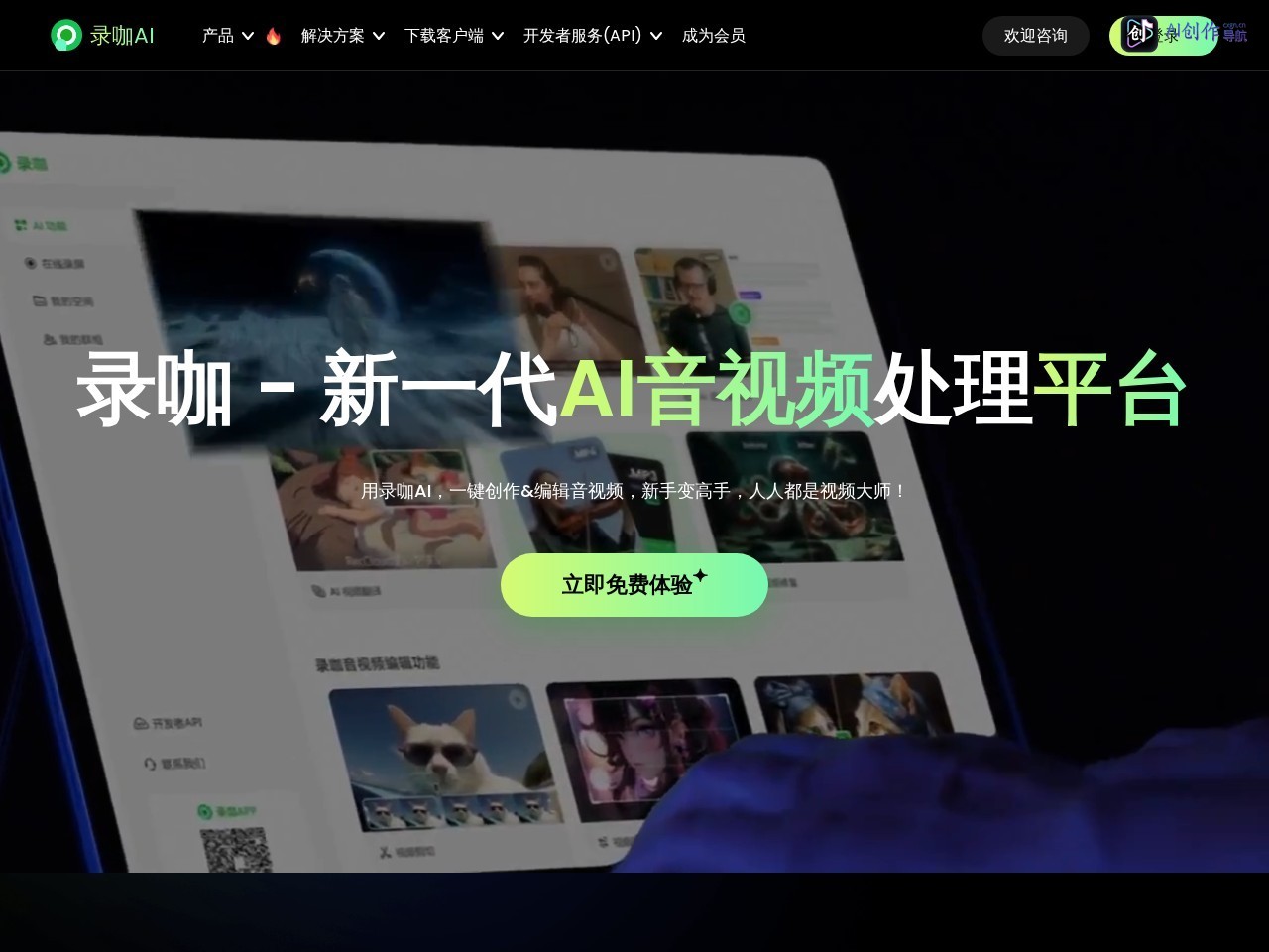 录咖AI视频去水印 网站截图