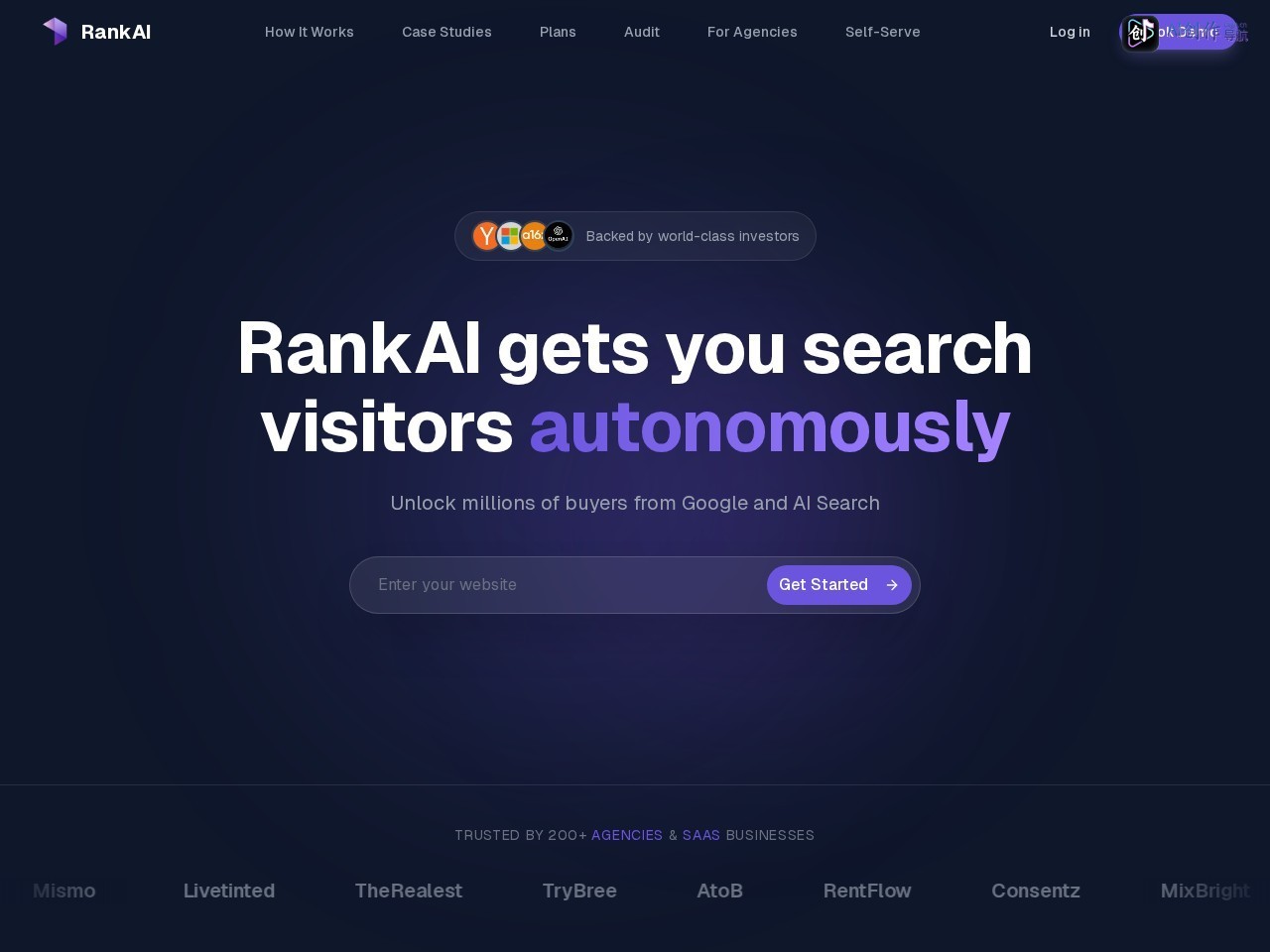 RankAI 网站截图