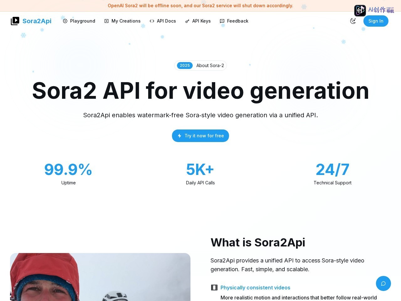 Sora2Api 网站截图
