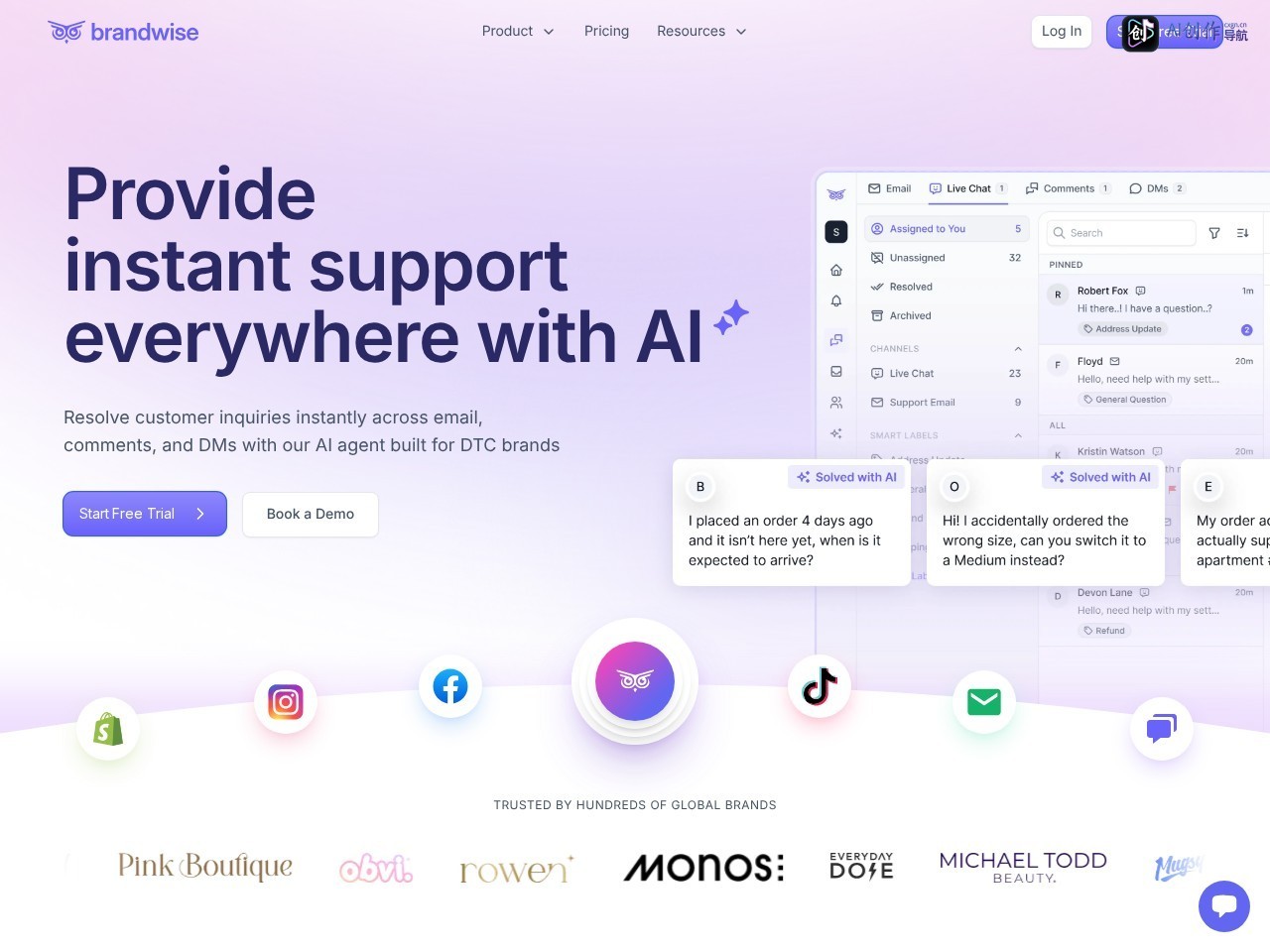 Brandwise 网站截图