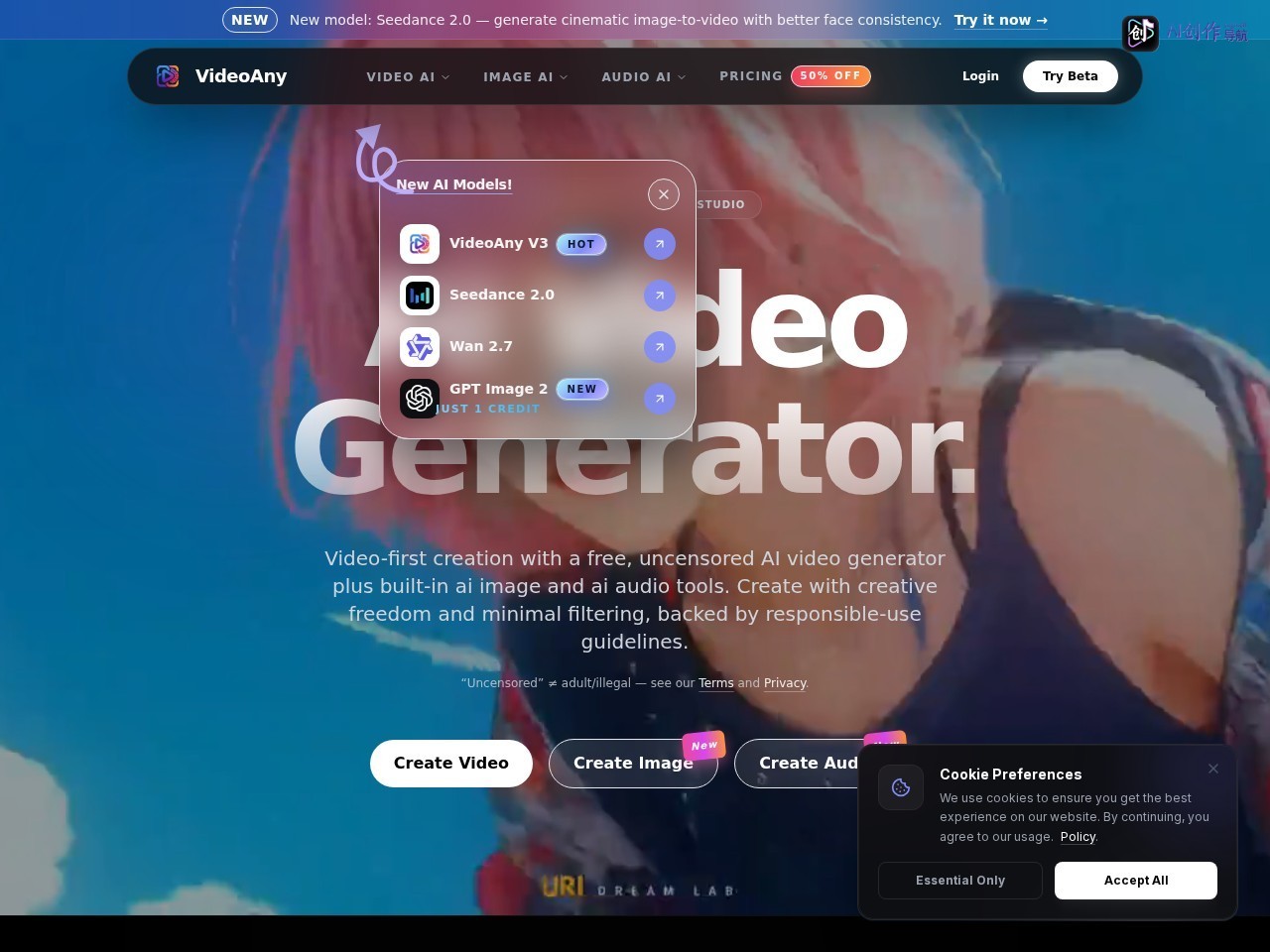 VideoAny 网站截图