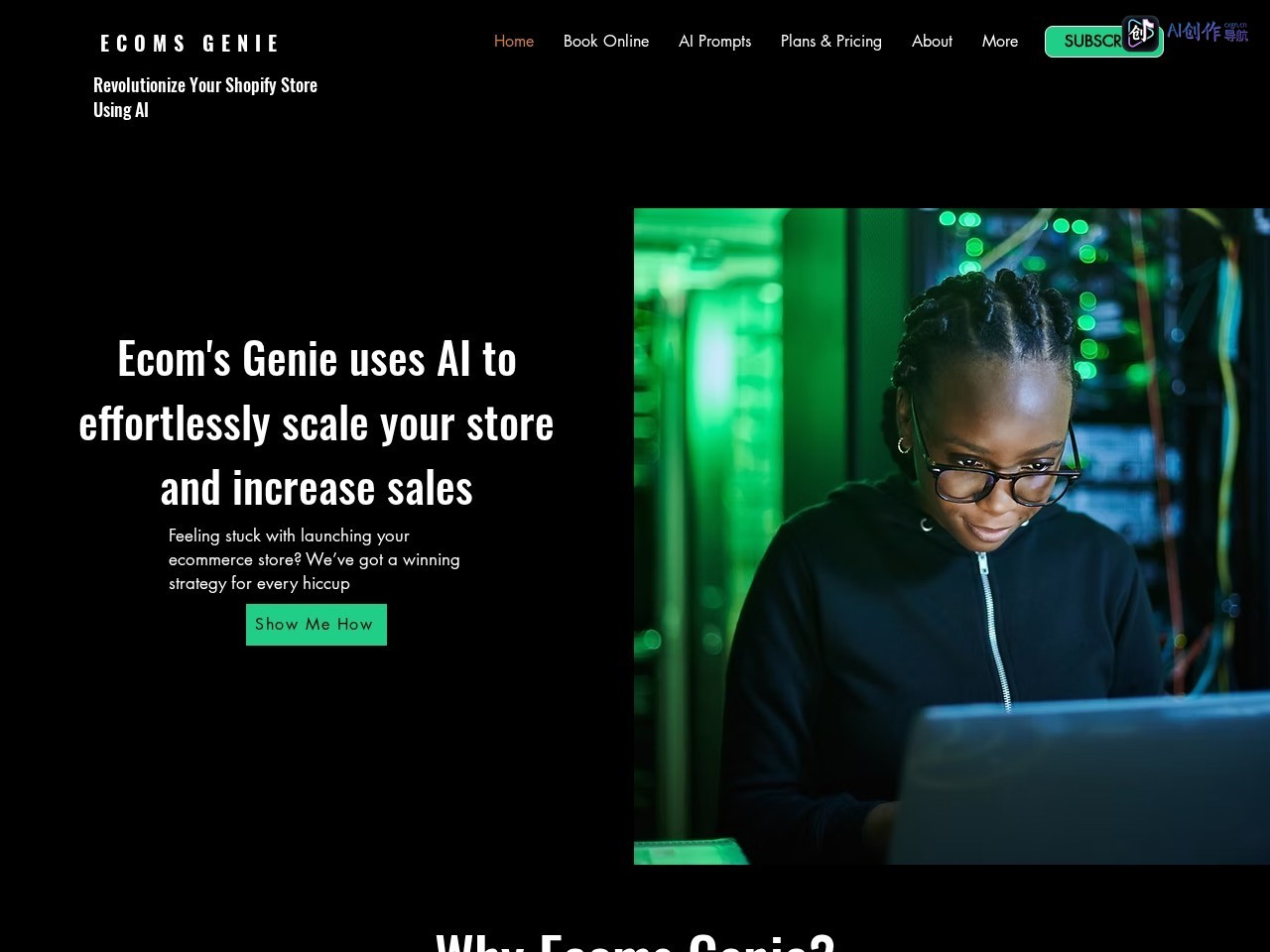 Ecom Genie 网站截图