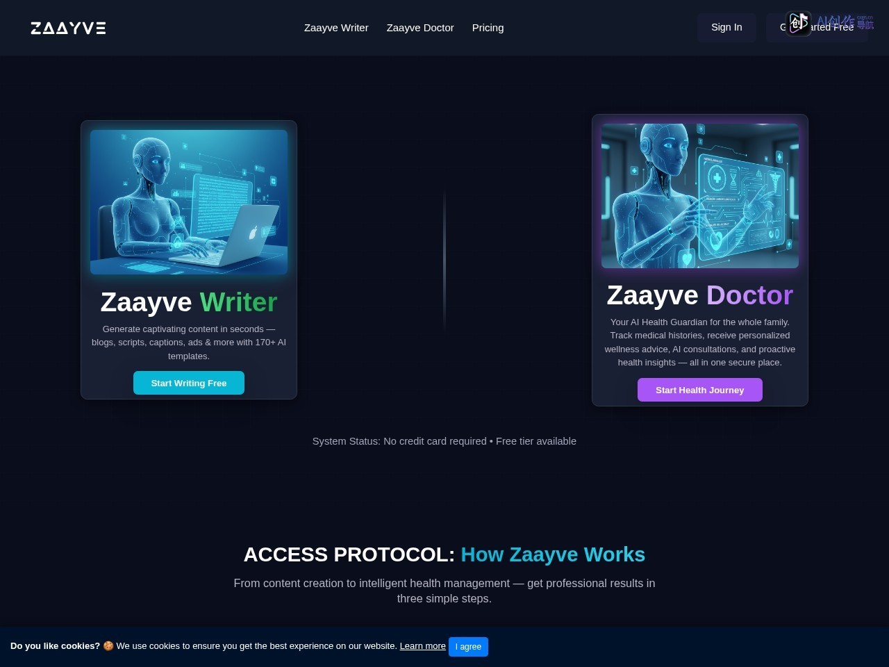 Zaayve 网站截图