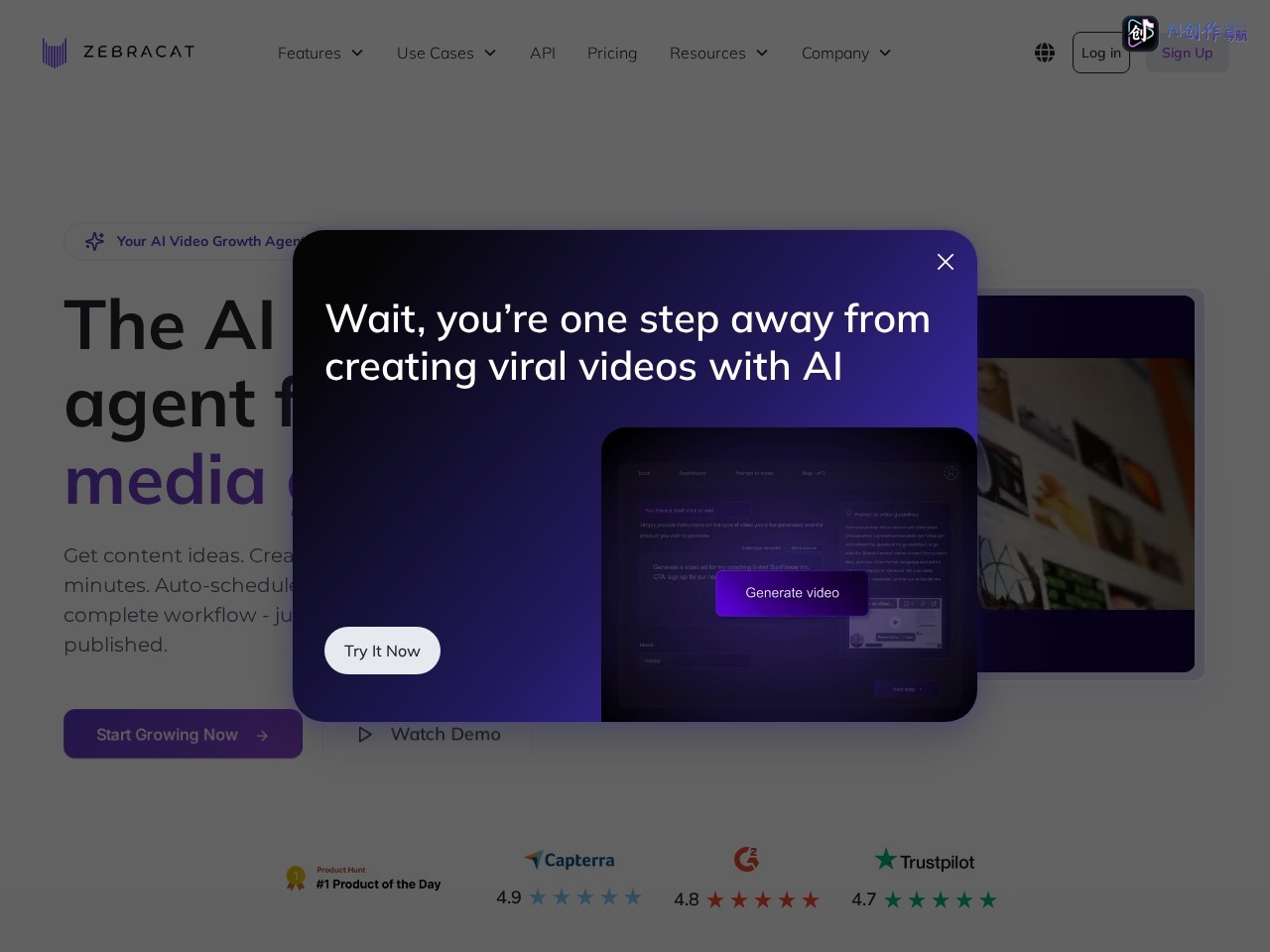 Zebracat 网站截图