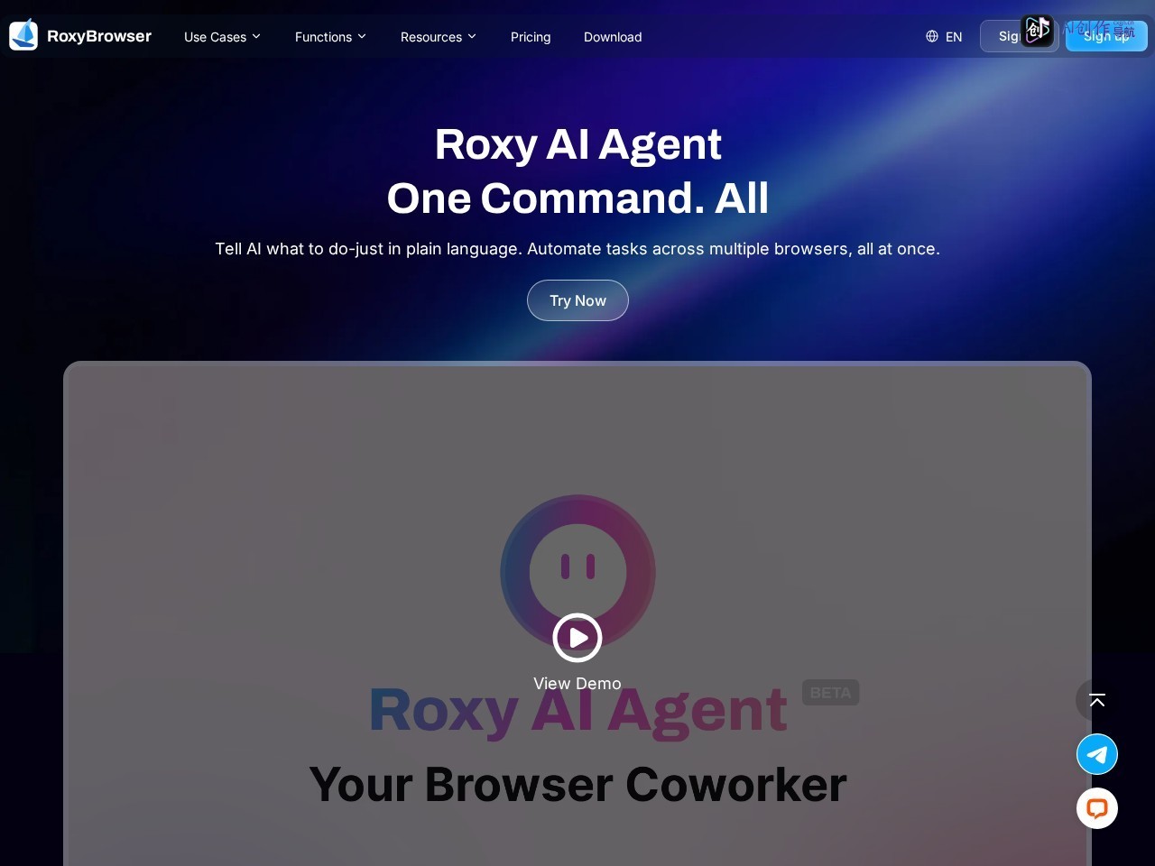 RoxyBrowser 网站截图