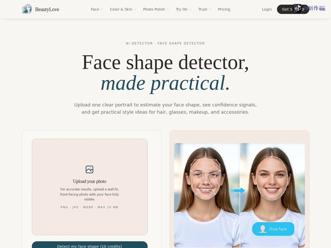 Face Shape Detector 网站截图