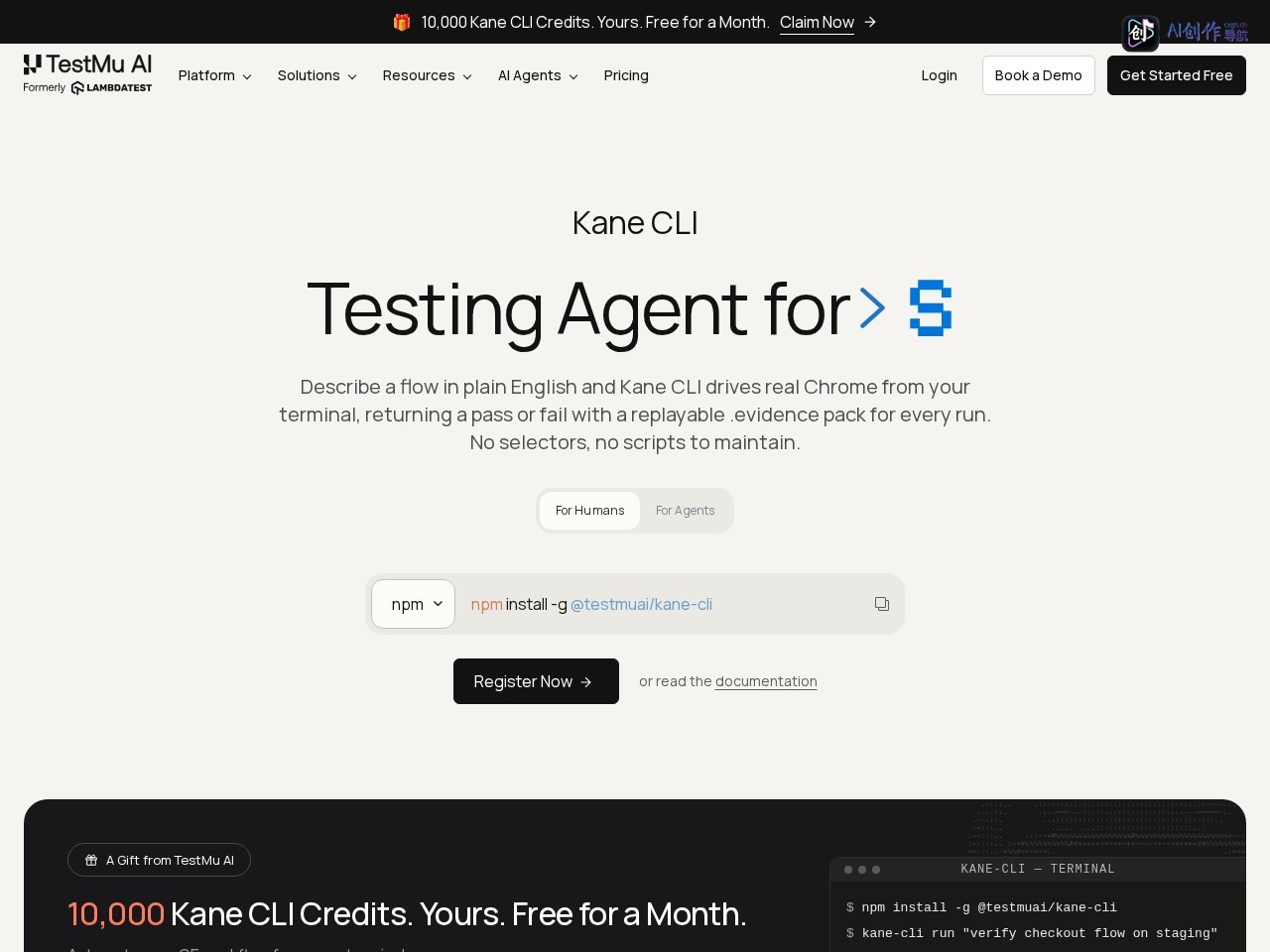 Kane CLI 网站截图