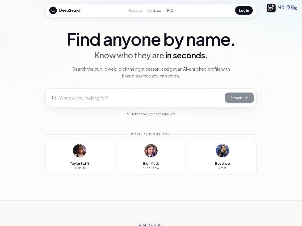 DeepSearch 网站截图