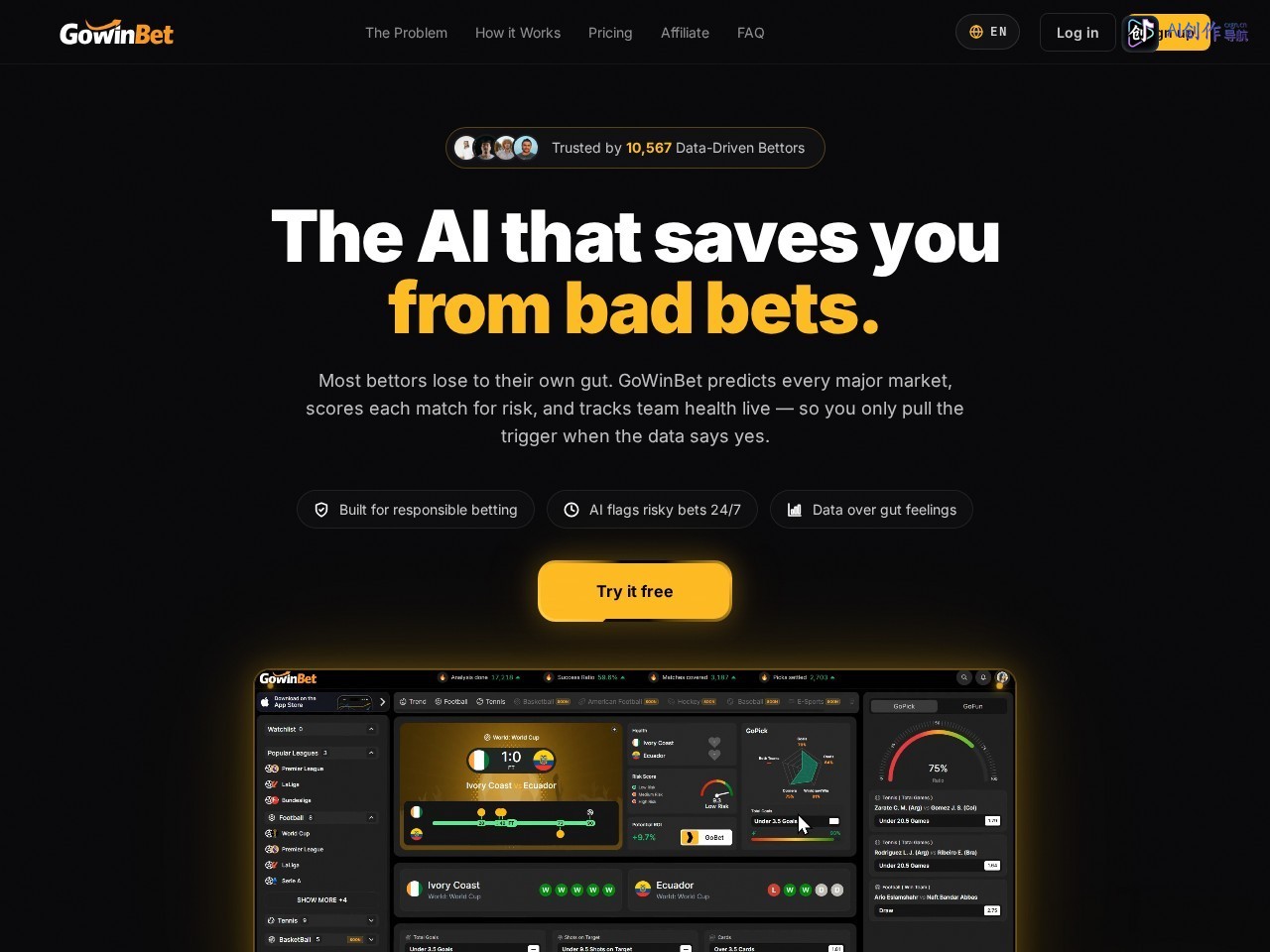 GoWinBet 网站截图