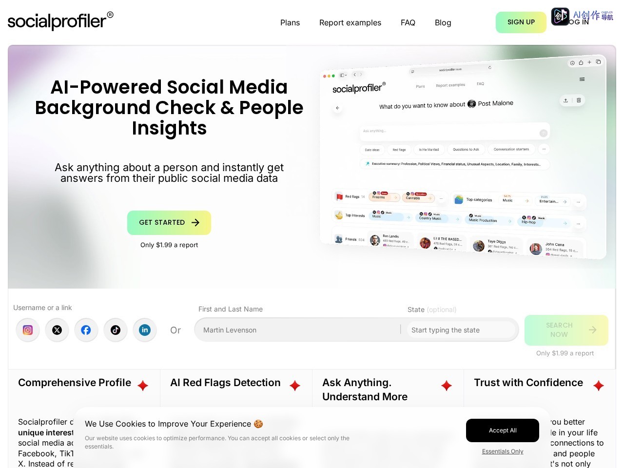 SocialProfiler 网站截图
