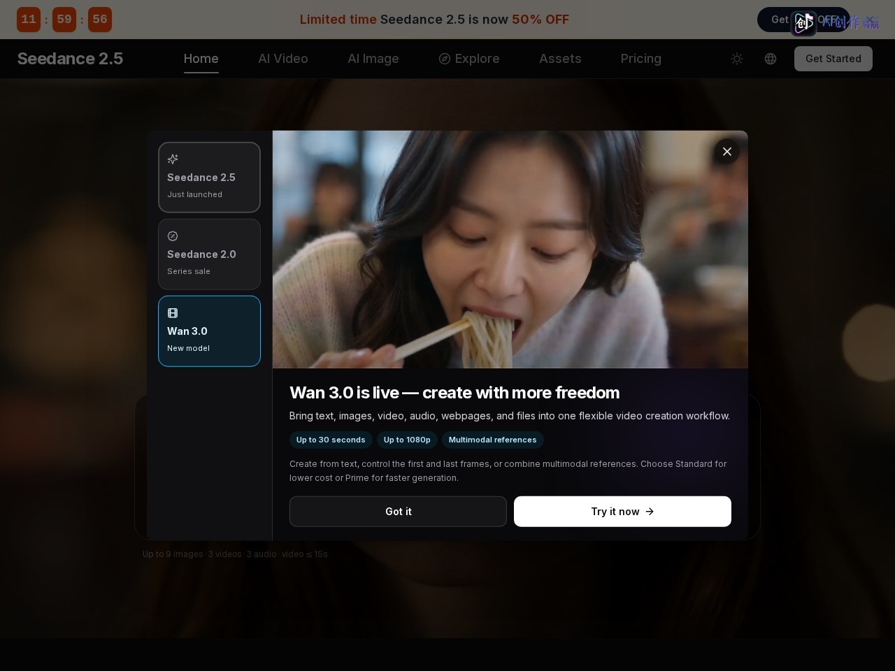 Seedance 2.5 网站截图