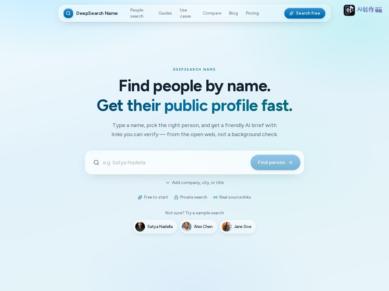 DeepSearch Name 网站截图